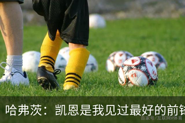 哈弗茨：凯恩是我见过最好的前锋之一；谁进球并不重要