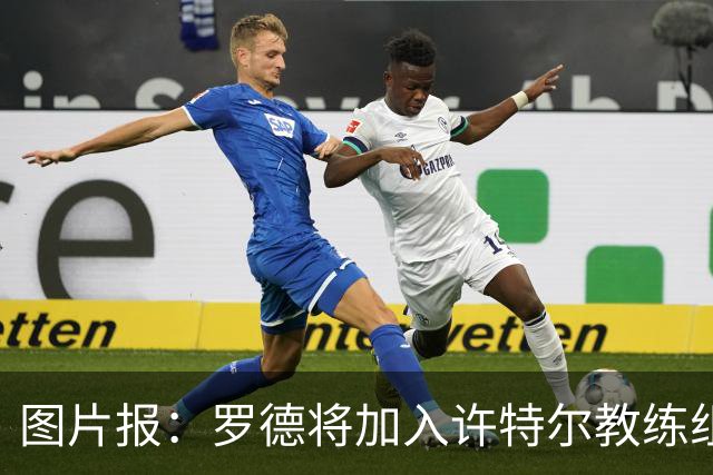 图片报：罗德将加入许特尔教练组，本周末首次亮相